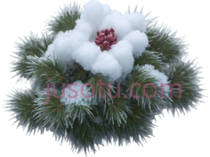 雪地玫瑰,卡通,白色花瓣,红色花蕊PNG