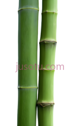 竹子, PNG