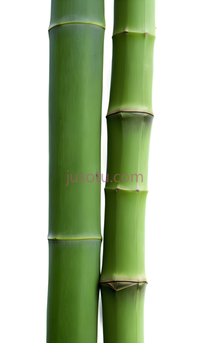 竹子, PNG