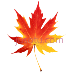 枫叶,自然,红色PNG