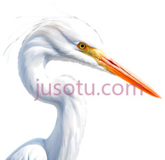 白鹭,插画,白色PNG