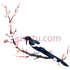 乌鸦,梅花PNG