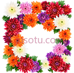 花环,自然,白色,粉色,橙色,红色PNG