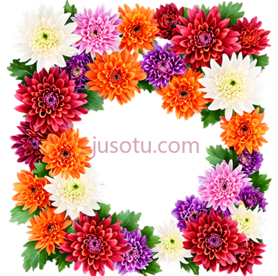 花环,自然,白色,粉色,橙色,红色, PNG
