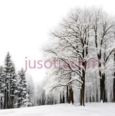 雪景,自然风光,白色PNG