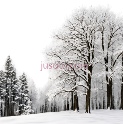 雪景,自然风光,白色, PNG