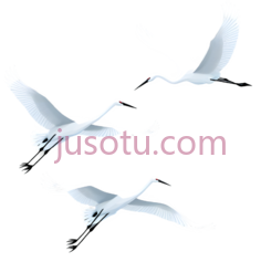仙鹤,白色PNG