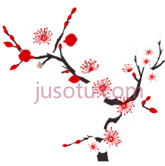 梅花,插画,白色,红色PNG