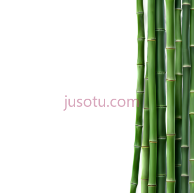 竹子,绿色, PNG