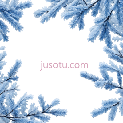 雪松枝,雪花覆盖,白色, PNG
