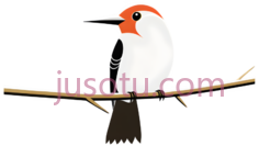 鸟,卡通,白色,橙色,黑色PNG