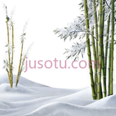 竹子,雪景,绿色,白色PNG
