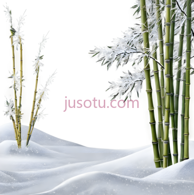 竹子,雪景,绿色,白色, PNG