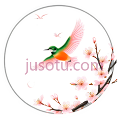蜂鸟,插画,绿色,橙色,粉色PNG