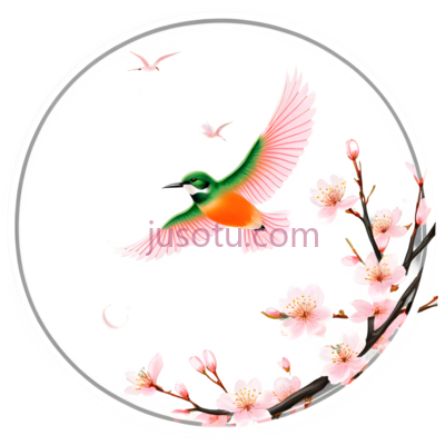 蜂鸟,插画,绿色,橙色,粉色, PNG