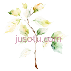 银杏PNG