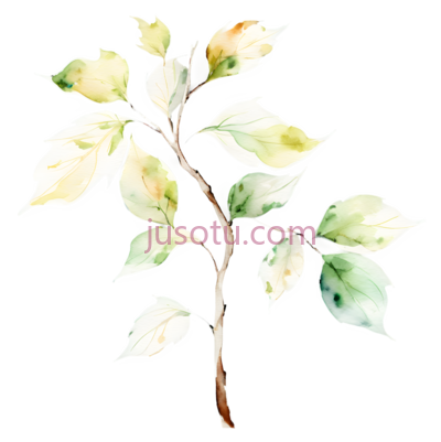 银杏, PNG