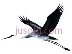 鹤,抽象,白色PNG