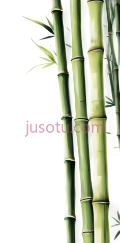 竹子,插画,绿色PNG