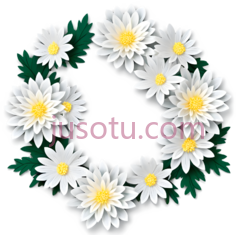 白菊,纸艺PNG