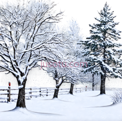 雪树,雪地, PNG