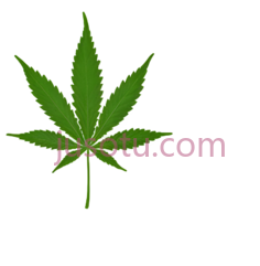 大麻叶,绿色PNG