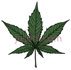 大麻叶,插图,绿色PNG