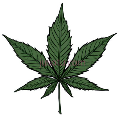 大麻叶,插图,绿色, PNG