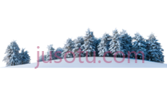 雪松,3D,白色PNG