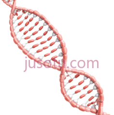 DNA双螺旋结构,3D,粉红色,白色PNG