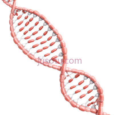 DNA双螺旋结构,3D,粉红色,白色, PNG