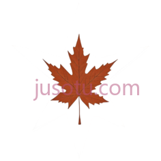 枫叶,星形图案,白色,红色PNG