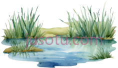 湿地PNG