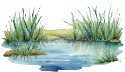 湿地, PNG