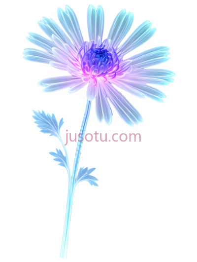 菊花,光, PNG