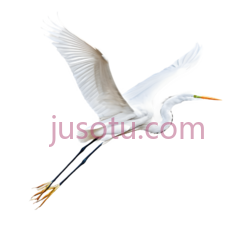 白鹭,飞翔,白色PNG