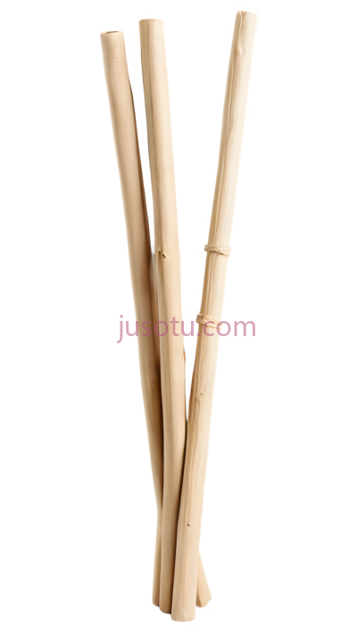 竹签,浅棕色, PNG
