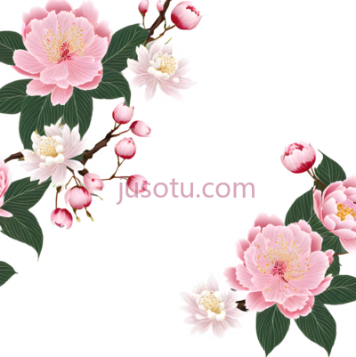 花朵,插画,粉色,白色,绿色, PNG