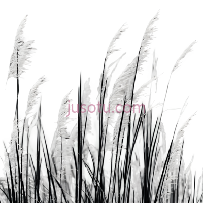 芦苇,植物, PNG