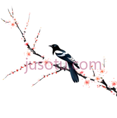 乌鸦,梅花PNG