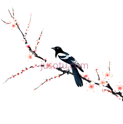 乌鸦,梅花, PNG