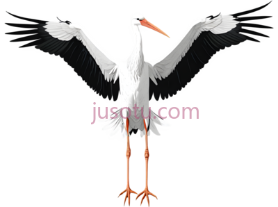 白鹳,展开翅膀, PNG