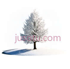 树,冬季雪景,白色PNG