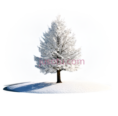 树,冬季雪景,白色, PNG