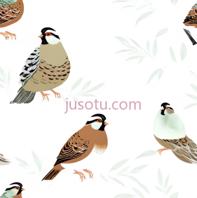 鸟,插画,棕色,白色,黑色, PNG
