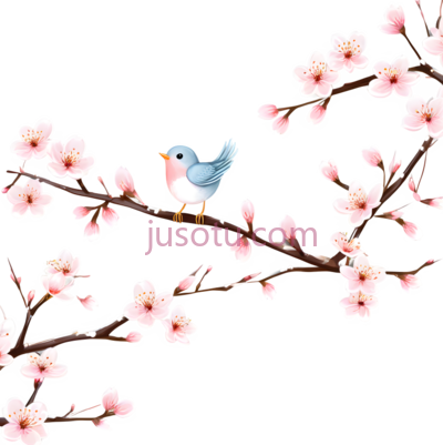 樱花,小鸟, PNG