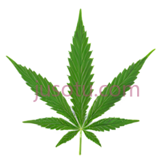 大麻叶,绿色PNG