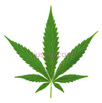 大麻叶,绿色, PNG