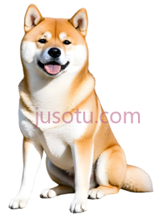 柴犬PNG