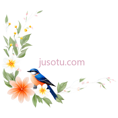 花朵,鸟,插画,白色,黄色,橙色,蓝色, PNG